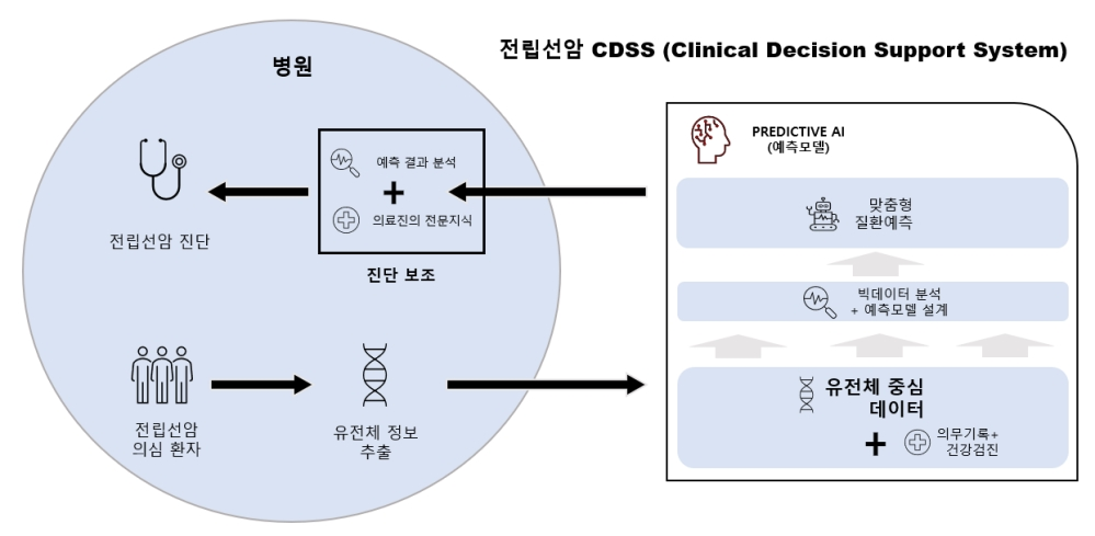 전립선암 예측 인공지능(AI) 기술 개발  이미지