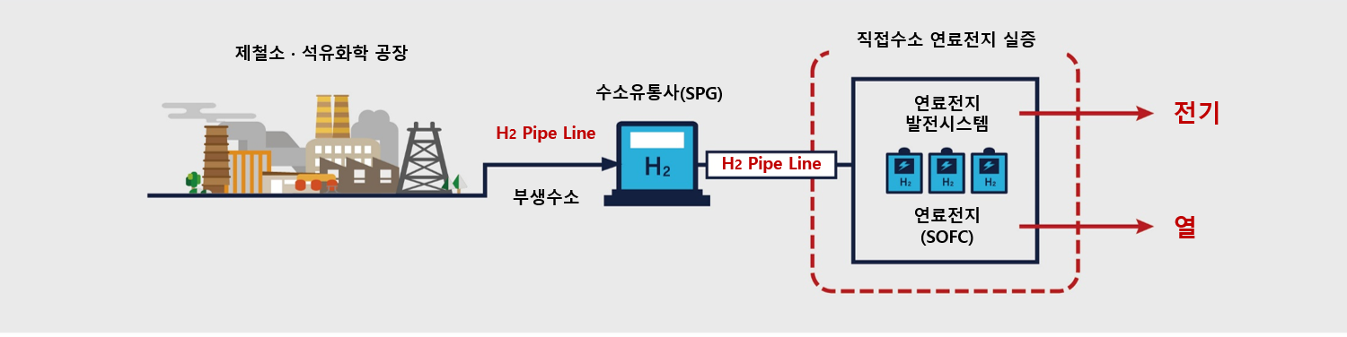 직접수소 연료전지 이미지