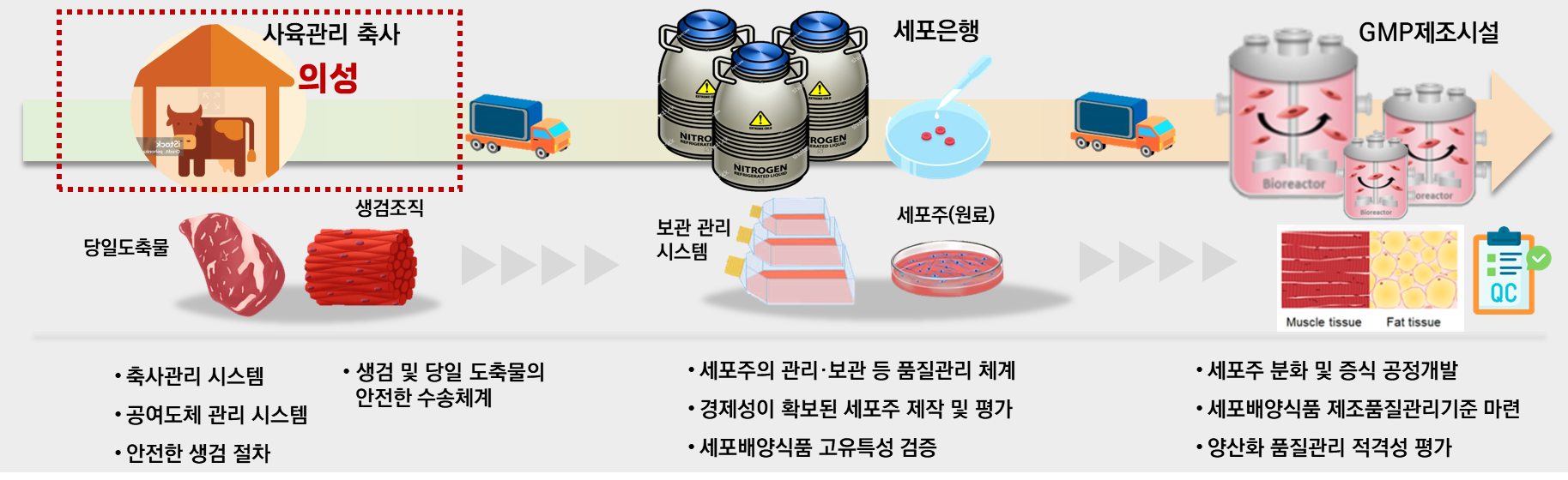 세포배양식품 실증 체계도 이미지